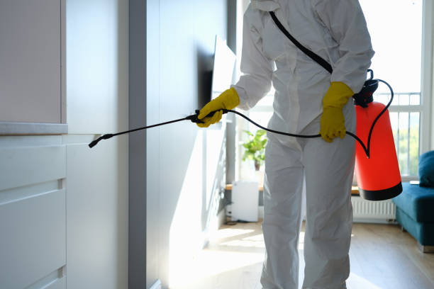 Best Office Mold Removal Services  in La Puebla, NM