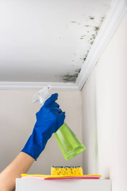 Best Mold Testing  in La Puebla, NM